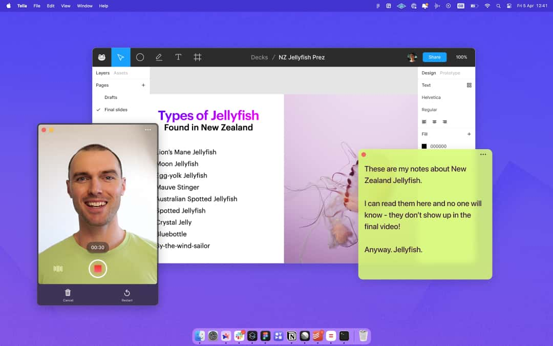 Tella - Quick Video Demo