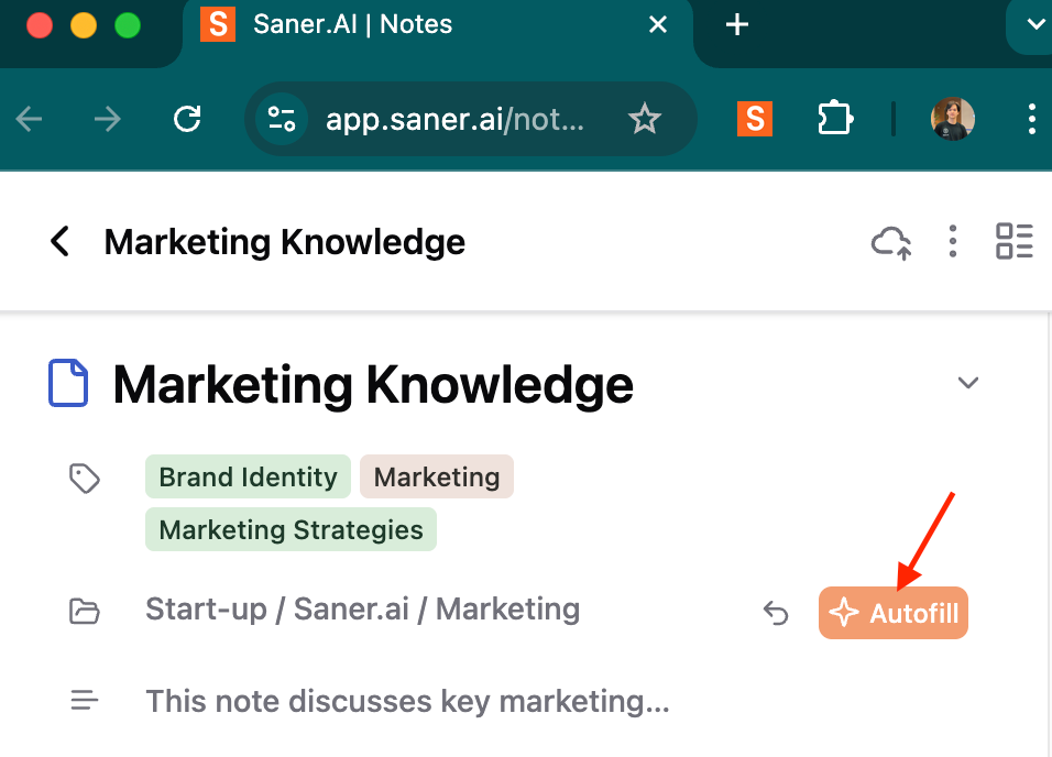 Auto-tag, Auto-folder - Saner.AI