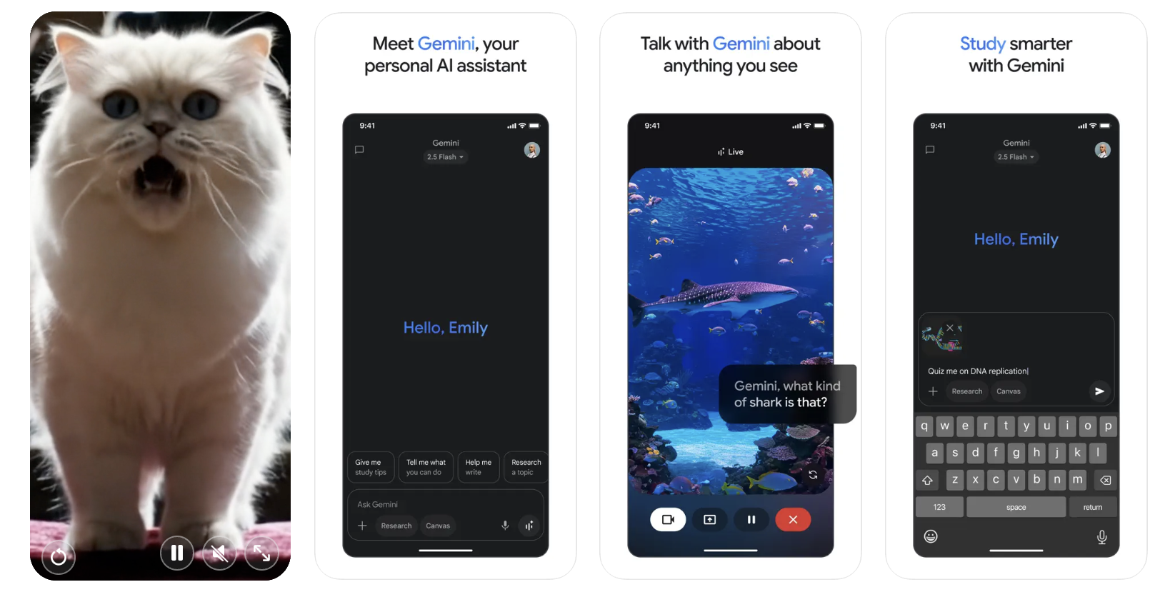 Gemini iOS app