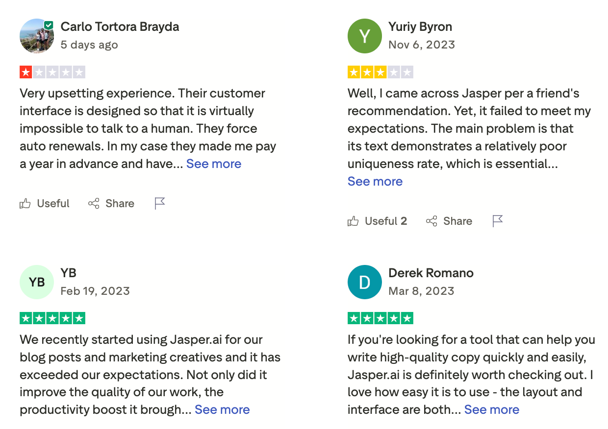 Jasper reviews 